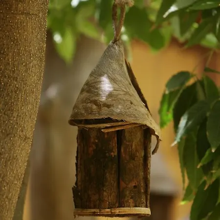 Rural Casa De Camellos *